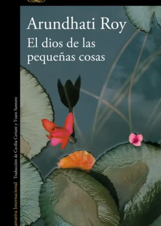 EL DIOS DE LAS PEQUE?AS COSAS