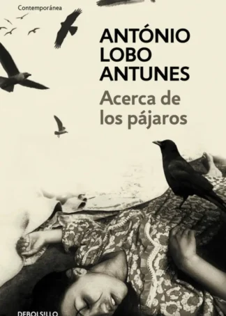 Acerca de los pájaros