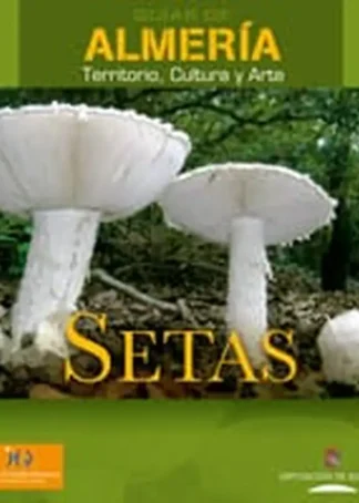 GUIAS ALMERIA  7 SETAS