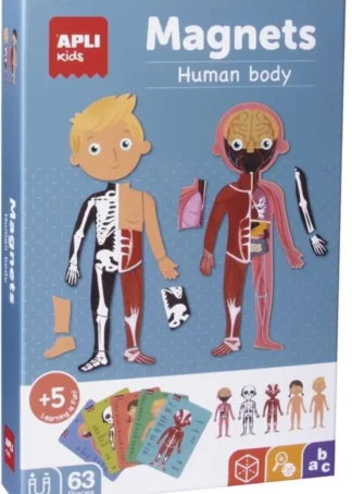 MAGNETICO 63 PIEZAS EL CUERPO HUMANO