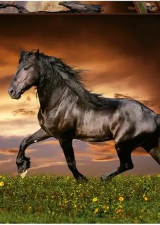 PUZZLE CABALLO AL TROTE 1000 PIEZAS