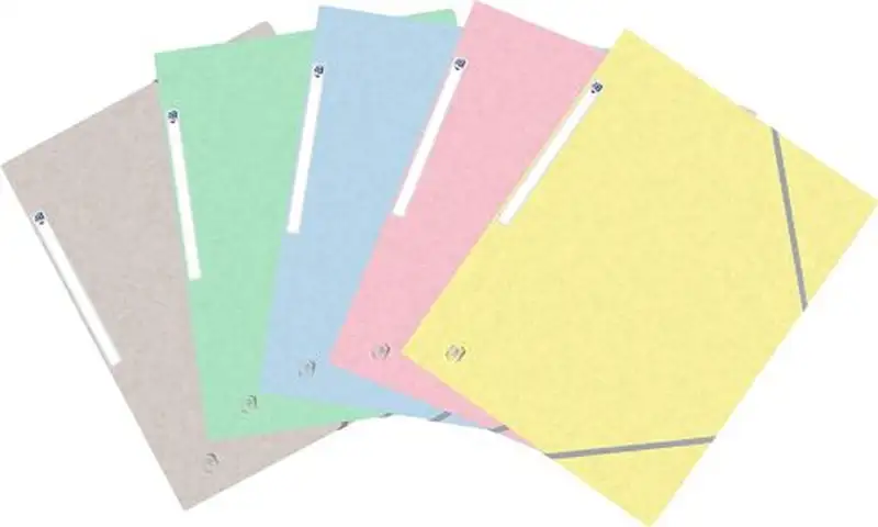 PAQ/10 CARPETA CARTON A4+ GOMAS Y SOLAPAS COLORES TENDENCIA