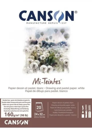 BLOC ENCOLADO CANSON MI-TEINTES 24X32CM 30H 160G BLANCO