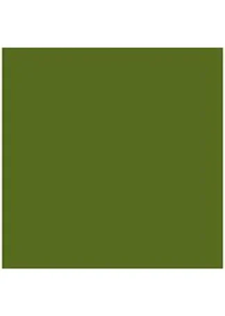 PAQ/25 CARTULINAS IRIS 50X65 185G. VERDE SAFARI