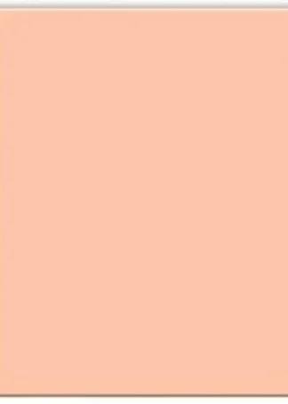 PAQ/50 CARTULINAS IRIS A4 185G. COLOR CARNE