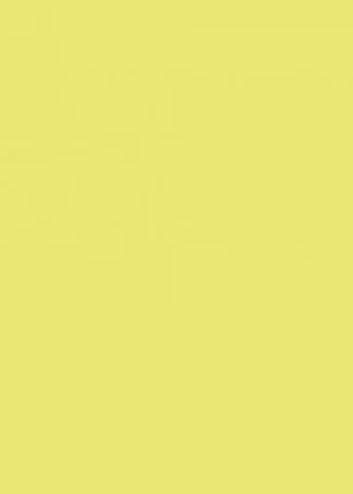 PAQ/50 CARTULINAS IRIS A4 185G. KIWI