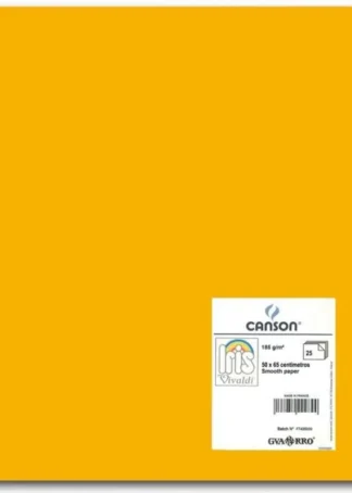 PAQ/25 CARTULINAS IRIS 50X65 185G. CUERO