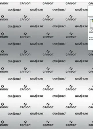 PAQ/25 CARTULINAS IRIS 50X65 280G. PLATA METALIZADA