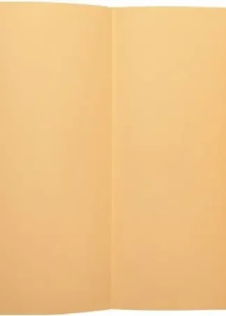 C/100 SUBCARPETAS A4 160G 1 SOLAPA COLOR CREMA