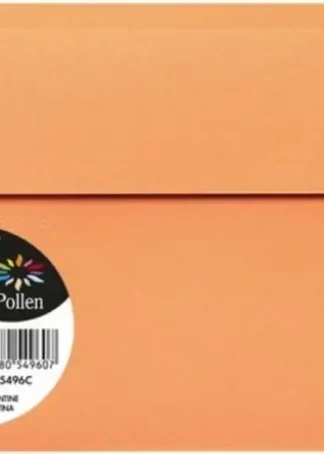 PAQ/20 SOBRE POLLEN 114X162 CLEMENTINA