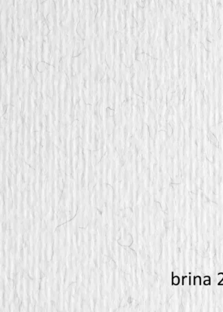 PAQ/20 CARTULINA LISO/RUGOSO 50X70 220G BRINA SURTIDO