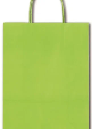 PAQ/25 BOLSAS KRAFT ALLEGRA COLOR VERDE LIMA 26X12X36CM