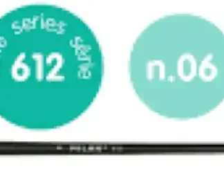 PAQ/6 PINCEL SINTETICO REDONDO Nº 6 SERIE 612 MANGO LARGO