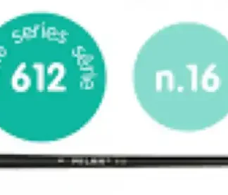 PAQ/6 PINCEL SINTETICO REDONDO Nº 16 SERIE 612 MANGO LARGO