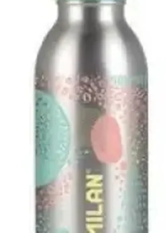 BOTELLA ISOTERMICA 354ML SILVER 17,1X6,85CM