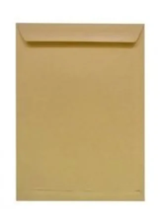 C/1000 BOLSA SALARIO KRAFT AUTOADHESIVO SILK-2 100X145