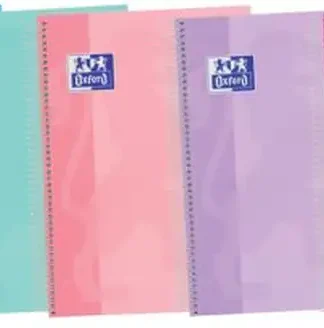 PAQ/5 BLOC A4+ 120H 90G. 1HORIZONTAL EBOOK5 TOUCH COL. PAST