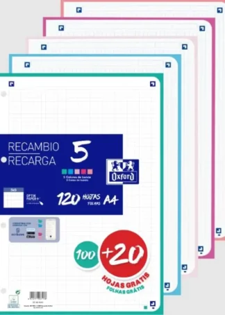 RECAMBIO 5 MULTICOLOR A4 100+20H 90G 4 T CUAD. 5X5 C.PASTEL