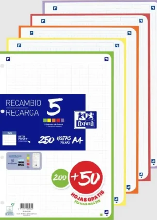 RECAMBIO 5 MULTICOLOR A4 250H 90G 4 T. CUAD.5X5 C.VIVOS