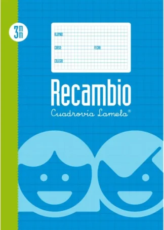 RECAMBIO Fº 100H 70G CUADROVIA 3MM 4 ANILLAS