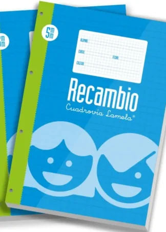 RECAMBIO Fº 100H 70G CUADROVIA 5MM 4 ANILLAS