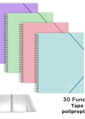C/4 CARPETA 30 FUNDAS PASTEL C/GOMA REGALO SEPARADORES EXT
