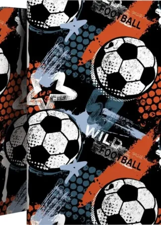 CARPETA 30F PP A4 B&B WILD FOOTBALL 23,1X31,3X1CM