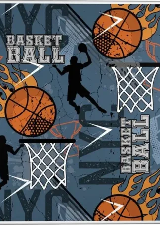 VADE PVC B&B BASKETBALL 33X47X0,5CM