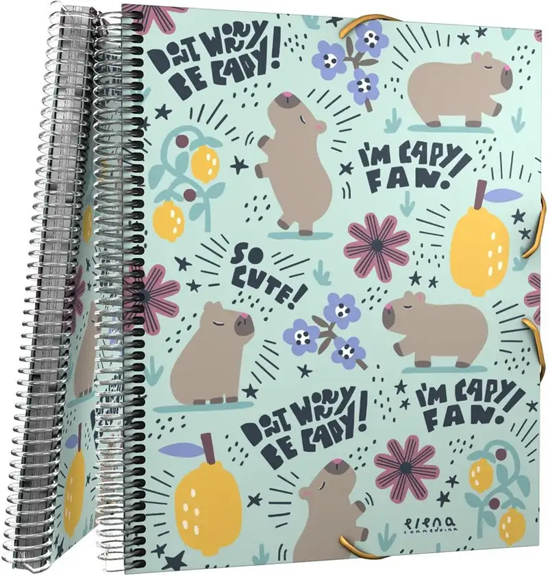 CARPETA FUNDAS MAXIPLAS PP 30F EC CHEERFUL 25,5X31X1,6CM