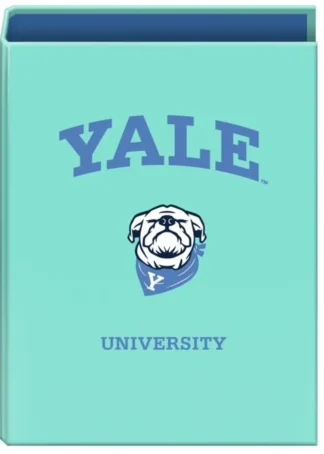 CARPETA Fº 4 ANILLAS 40MM YALE DOG