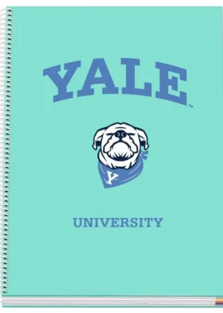 CUADERNO A4 TAPA EXTRADURA CUAD 4X4 100H YALE DOG
