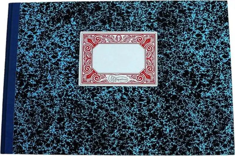 CARTONE Fº APAISADO HORIZONTAL 100 HOJAS SIN NUMERAR