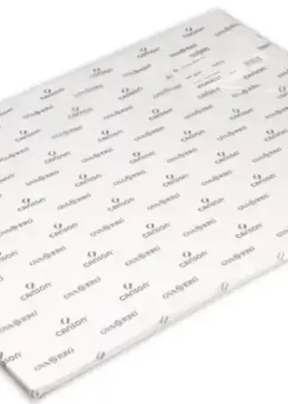 PAQ/25 PAPEL ACUARELA 50X70CM 20H 350G GRANO GRUESO