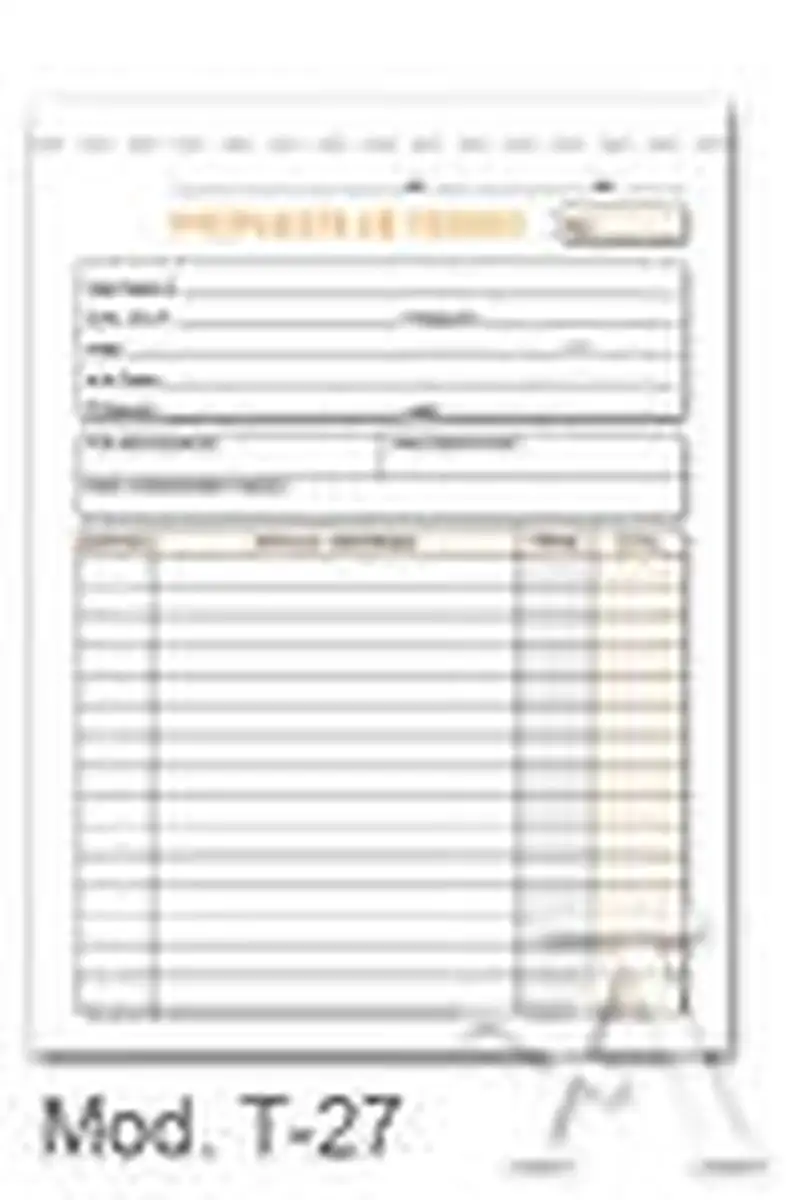 PAQ/10 TALONARIOS DE PEDIDOS 1/4 NATURAL SENCILLO