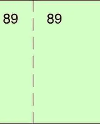 PAQ/20 TALONARIO DE CAJA T29 10,7X5CM COLOR VERDE