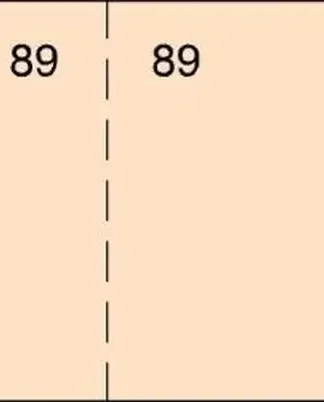 PAQ/20 TALONARIO DE CAJA T29 10,7X5CM COLOR NARANJA