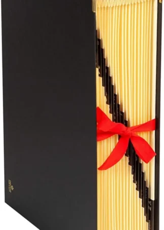 CARPETA ACORDEON Fº CARTON FORRADO NEGRO 20 MOD (1-31)