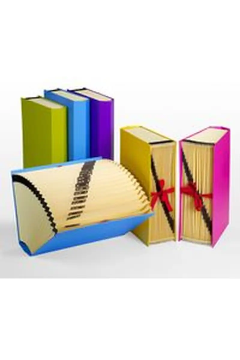 CARPETA ACORDEON Fº CARTON FORRADO ROSA FASHION 20 MOD 1-31