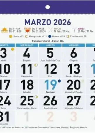 FALDILLA NUMEROS GRANDES 2026 F92 21X15