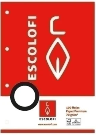 RECAMBIO Fº 4 TALADROS 100H 70G PAUTA MONTESSORI 5 C/MARGEN