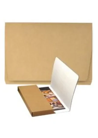 PAQ/25 SUBCARPETAS Fº BOLSA Y SOLAPA 240G BICOLOR