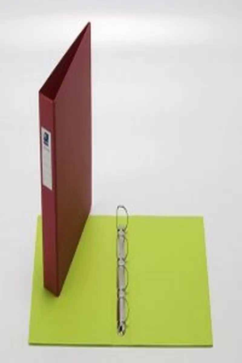 CARPETA Fº 4 ANILLAS 40 MM PVC VIOLETA FUN COLOR