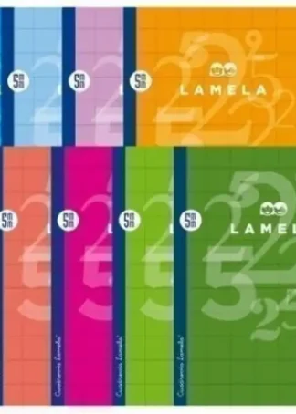 LIBRETA A4 50H 70G CUADROVIA 5MM COLORES SURTIDOS