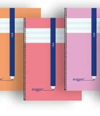 PAQ/10 CUADERNO ESPIRAL 4º 40H 70G 3MM CUADROVIA ERIGGAN