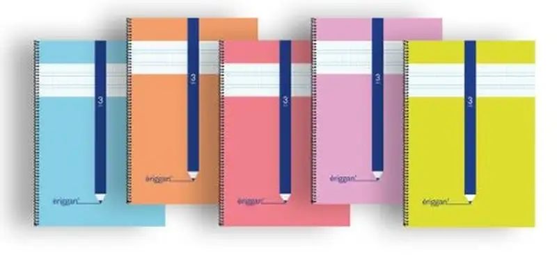 PAQ/10 CUADERNO ESPIRAL 4º 40H 70G 3MM CUADROVIA ERIGGAN