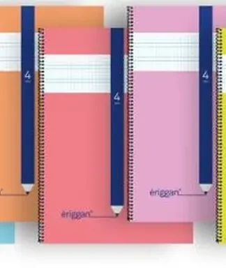 PAQ/10 CUADERNO ESPIRAL 4º 40H 70G 4MM CUADROVIA ERIGGAN