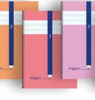 PAQ/10 CUADERNO ESPIRAL Fº 80H 70G 3MM CUADROVIA ERIGGAN