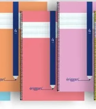 PAQ/10 CUADERNO ESPIRAL Fº 80H 70G 4MM CUADROVIA ERIGGAN