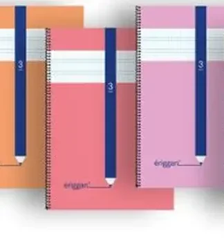 PAQ/5 CUADERNO ESPIRAL Fº 80H 90G 3MM CUADROVIA PP ERIGGAN