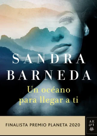 Un océano para llegar a ti
